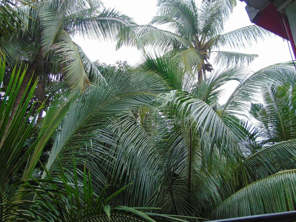 Oceanic Pearl Beach Guest House Calangute Luaran gambar